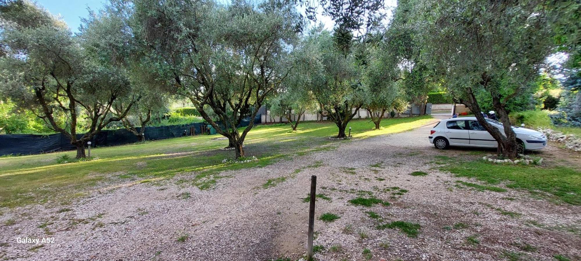 Villa Habana Fonte Nuova Eksteriør bilde